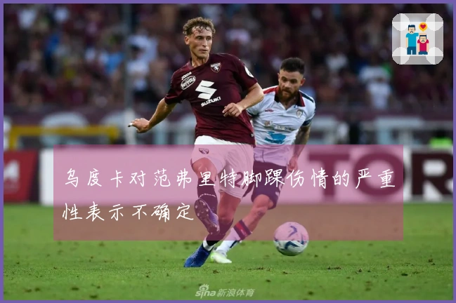 乌度卡对范弗里特脚踝伤情的严重性表示不确定